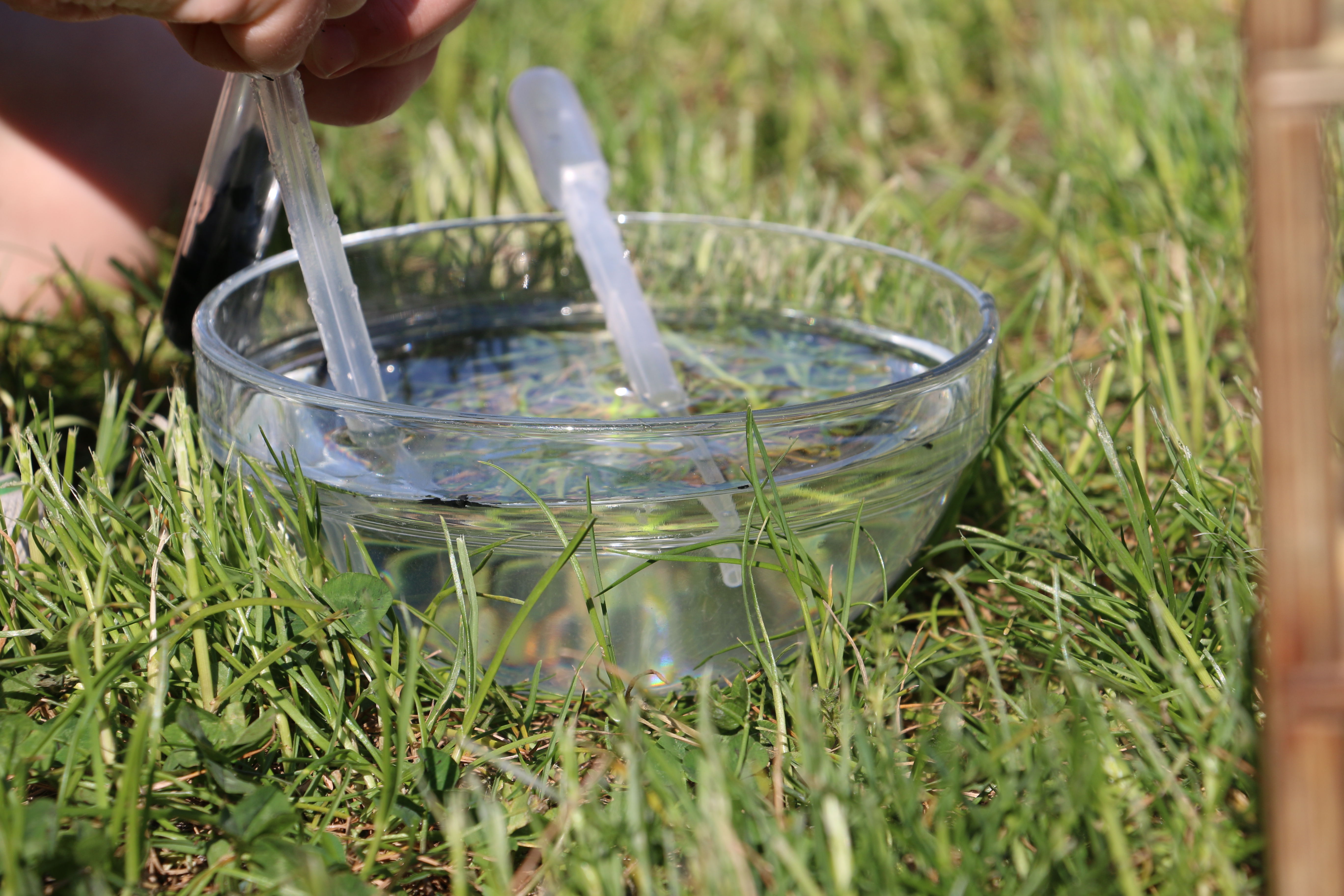 Wasser_marsch_2_1_.JPG